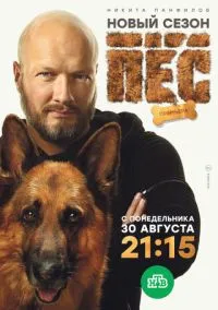 Пёс смотреть онлайн на Лордфильм бесплатно в HD